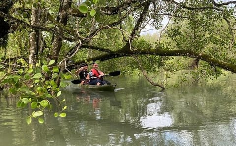 Langkawi Mangrove Kayaking Adventure With Nature Explorer