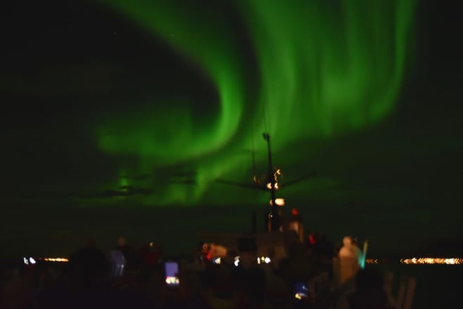 Reykjavík Whales & Northern Lights 8