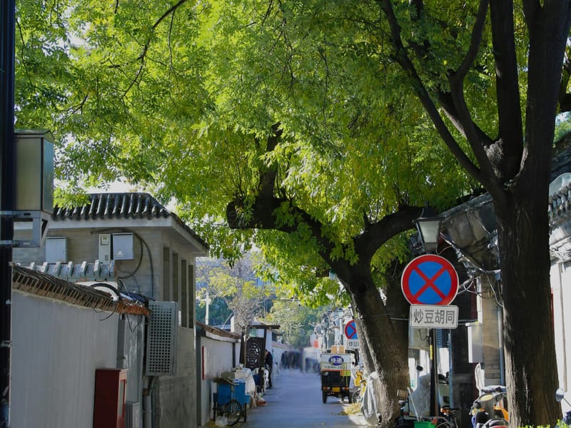Beijing Hutong Walking Food + Beer Tour (Unlimited Beer)