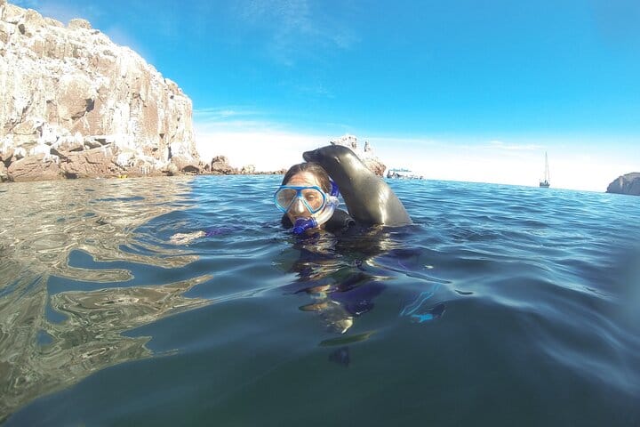 Espiritu Santo Island & Sea Lions Private Tour from La Paz 9