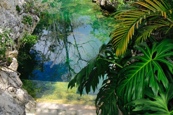 Tour en Cenote de Tulum 5 Cenotes y Despierta Tus Sentidos