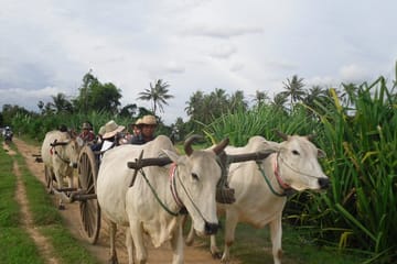 Cambodian Cooking Class and Oxcart Ride in Siem Reap