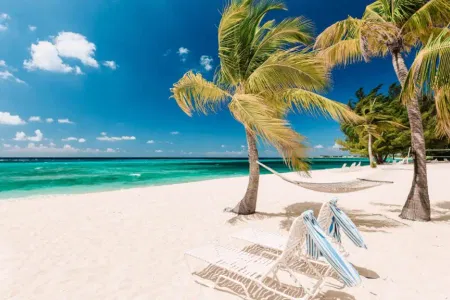 Skyline Drive Lookout and Beach Hopping