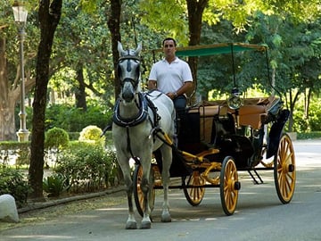 Horse and Buggy Ride in Seville with guide