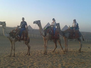 Giza Pyramids