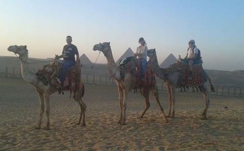 From Cairo : Half Day Tour Around Giza Pyramids By Camel