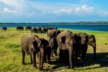 Habarana Adventure Day Tour From Kandy