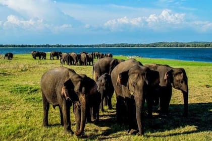 Habarana Adventure Day Tour From Kandy