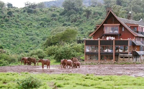 4-Day ATV Safari in Samburu and Aberdares National Parks