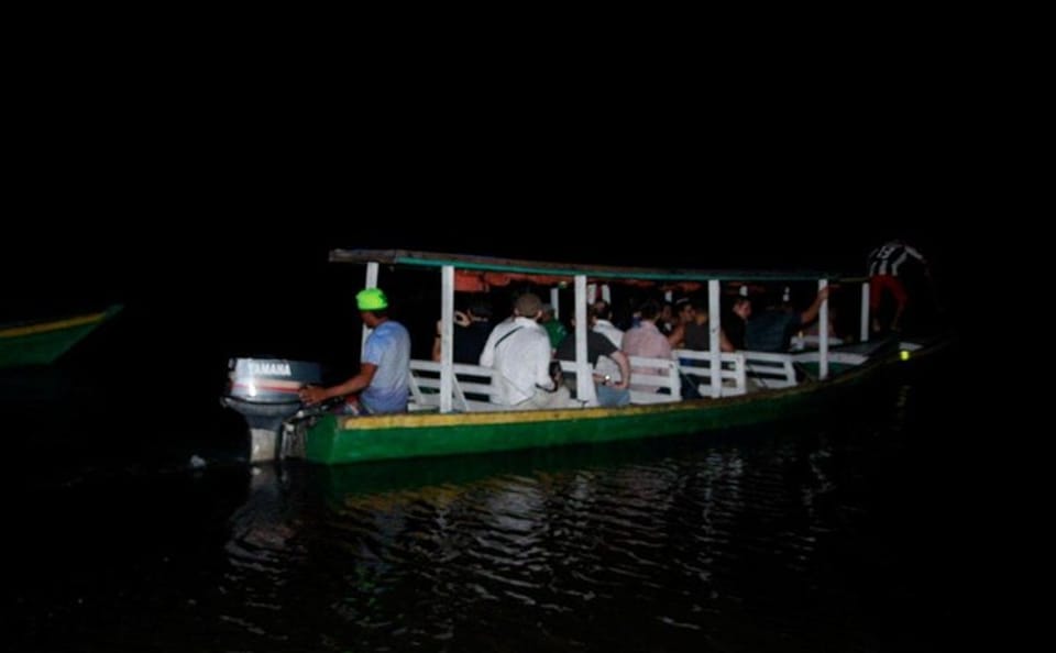 Nighttime Wildlife Tour in the Amazon Rainforest, Manaus