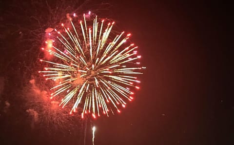 July 4th Fireworks Cruise with Dinner in New York City