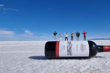 Full Day Adventure Tour of Salar de Uyuni in Bolivia