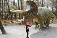 Perfect for Children! Jurassic Park Private Tour 2