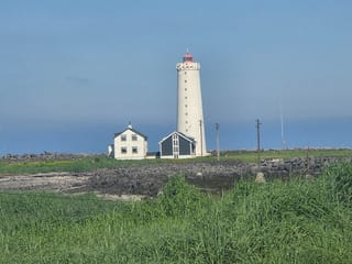 Reykjavik City Tour Experience, photo 18