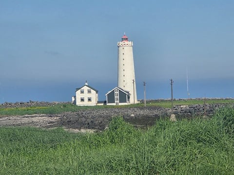 Reykjavik City Tour Experience, photo 18