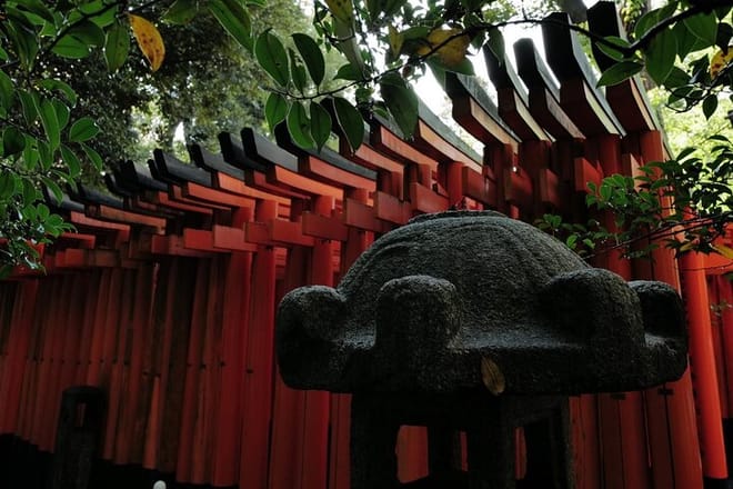 Kyoto Fushimi Inari Night Walking Tour 6
