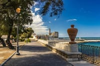 Puglia - Private Guided Tour of the City of Trani 3
