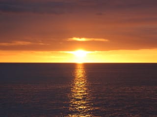 Reykjavík Classic Whales in the Midnight Sun, photo 20