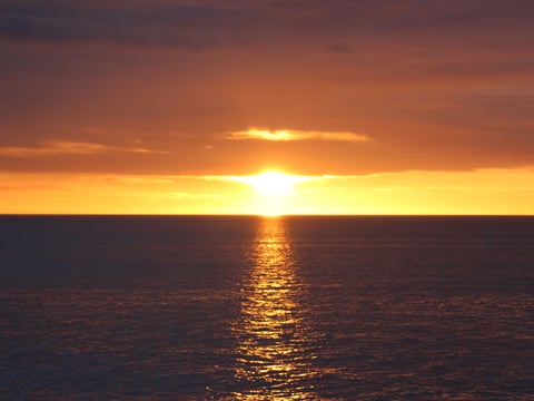 Reykjavík Classic Whales in the Midnight Sun, photo 20