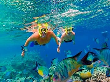 Come and experience Roatan natural aquariums