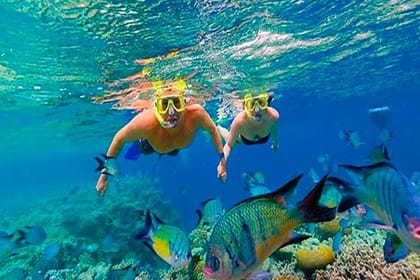 Cruise Passengers Group Snorkeling Trip Party plus Shuttle