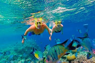 Snorkeling Adventure in Pristine Bay, Roatán for Cruise Passengers