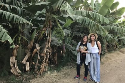 Private Felucca Trip to Banana Island & Private Transfer in Luxor