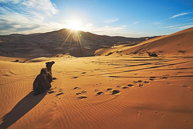 3 Days To Fes Via Sahara Desert 8