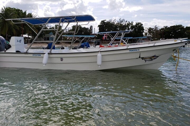 5 tours in 1 (Eco Farm/Horseback/City Tour/Buggy/Zipline)