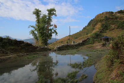 7 Days of Tranquility: Australian Camp Easy Trek & Nature Escape