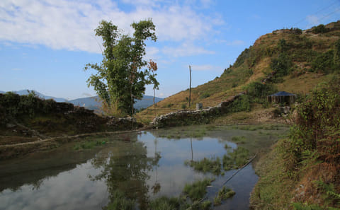 Easy Trekking and Nature Escape in Dhampus, Nepal