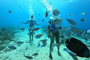 Underwater Walking Tour in Curacao