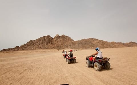 ATV Desert Safari and Camel Ride in Marsa Alam, Egypt