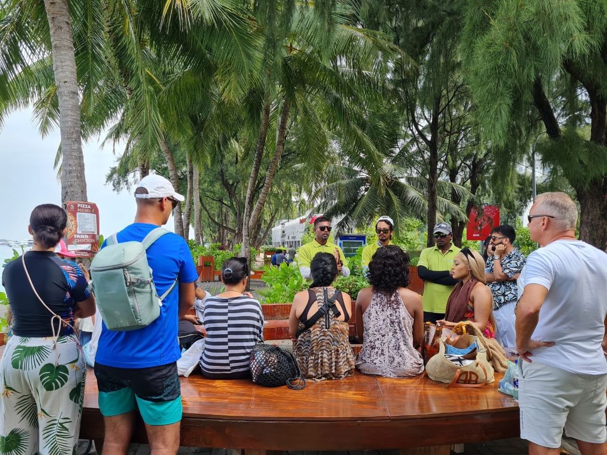 Maldives Dolphin Cruise, Sandbank Adventure & Local Island Tour