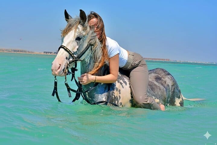 Horse Riding Experience – Desert, Beach & Swimming – Hurghada