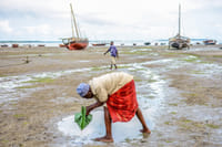 Zanzibar: Tumbatu Island Cultural Experience 9