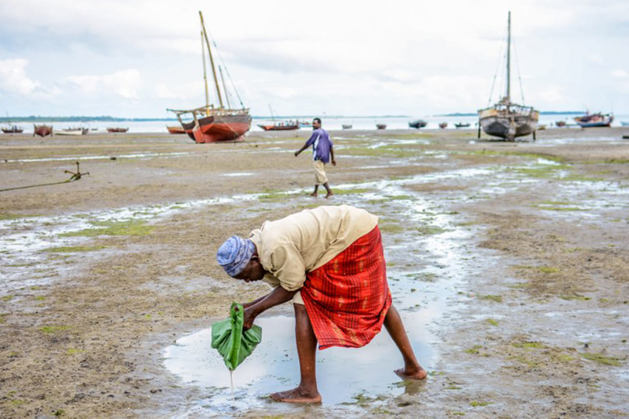 Zanzibar: Tumbatu Island Cultural Experience 9
