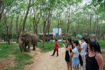 Khaolak Wild Ride and Gentle Giants Experience