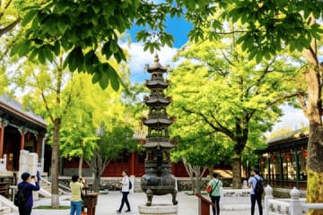 Bullet Train Day Tour from Beijing to Shaolin Temple