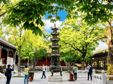 Beijing:Bullet Train Day Tour to Shaolin Temple&Martial Arts