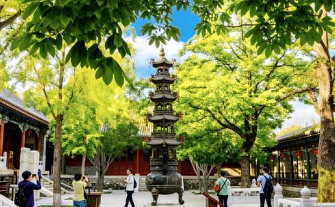 Bullet Train Day Tour from Beijing to Shaolin Temple