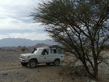 3-Hour Mini Super Safari: Quad, Jeep, Spider Car, Camel & Tea