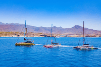 Whale Watching Catamaran to Los Gigantes & Masca 7