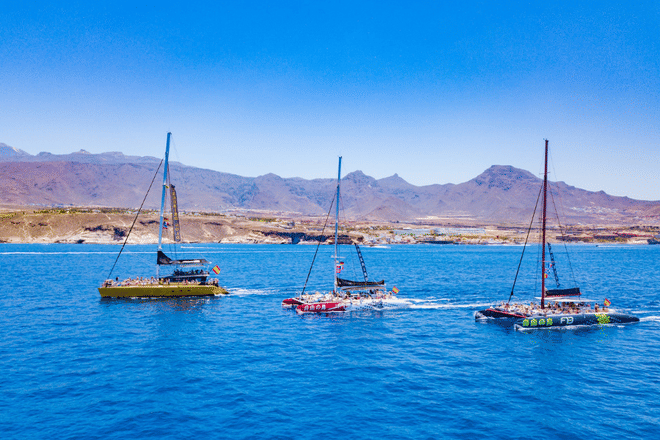 Whale Watching Catamaran to Los Gigantes & Masca 7