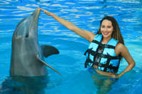 Encuentro con Delfines + Parque Acuático en Puerto Vallarta 7