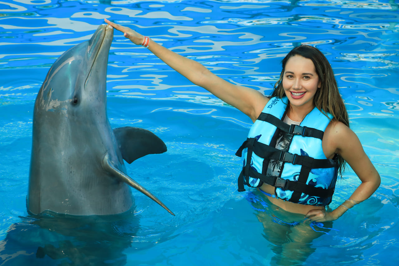 Encuentro con Delfines + Parque Acuático en Puerto Vallarta 7