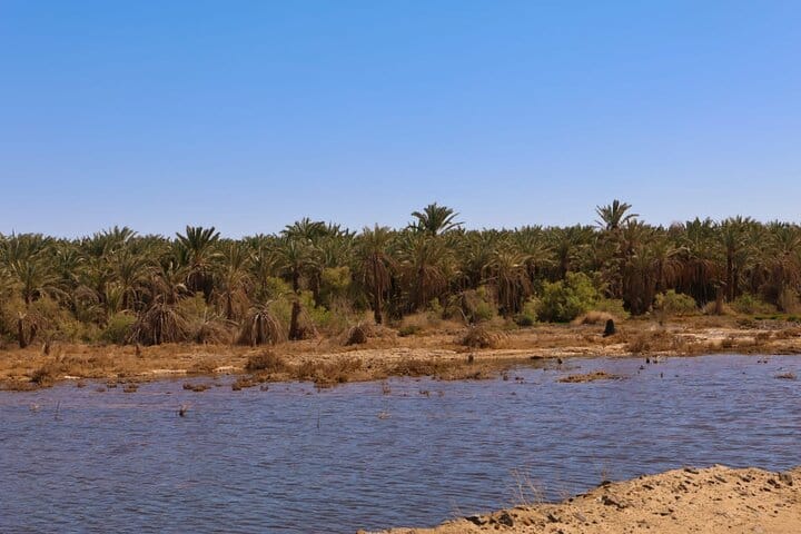 Private 3 Days Eco Bahariya Oasis Camping Tour