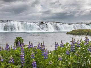 Golden Circle Private Tour from Keflavik Airport, photo 20
