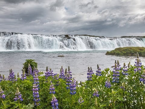 Golden Circle Private Tour from Keflavik Airport, photo 20