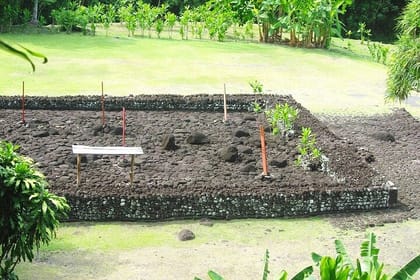 Private Full Day Tour of Tahiti